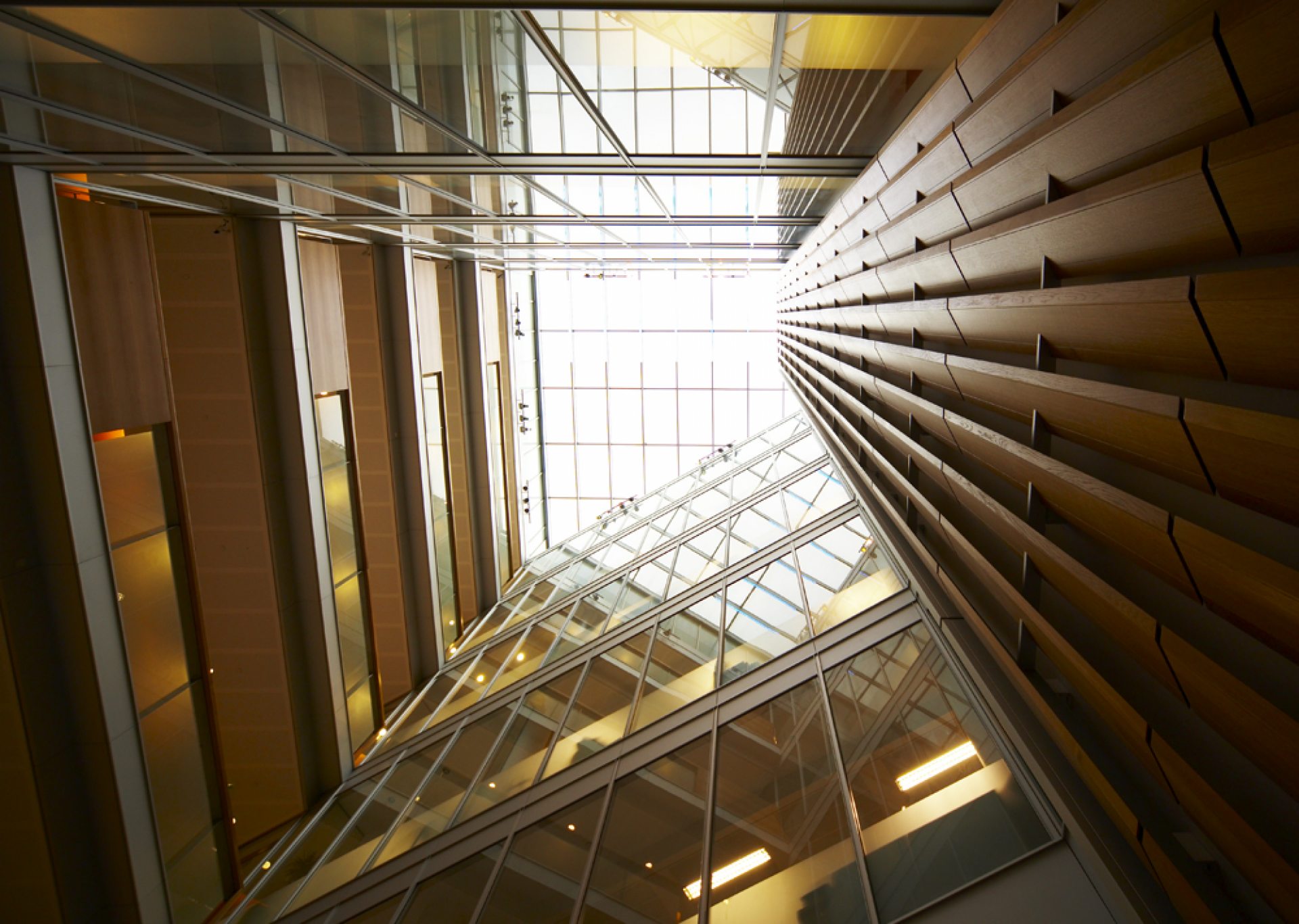 An atrium of a building