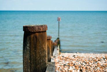 scott chambers  GvDNyWSFs unsplash