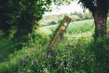 Countryside3 2